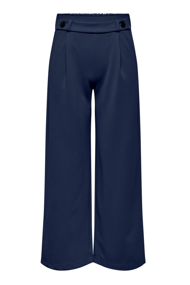 JDYGEGGO NEW LONG PANT JRS NOOS 15208430 Black Iris